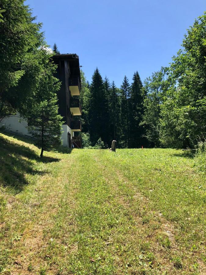Chalet Riviere Du Bon Nant Location De 6 A 14 Personnes En Haute Savoie 생제르베레뱅 외부 사진