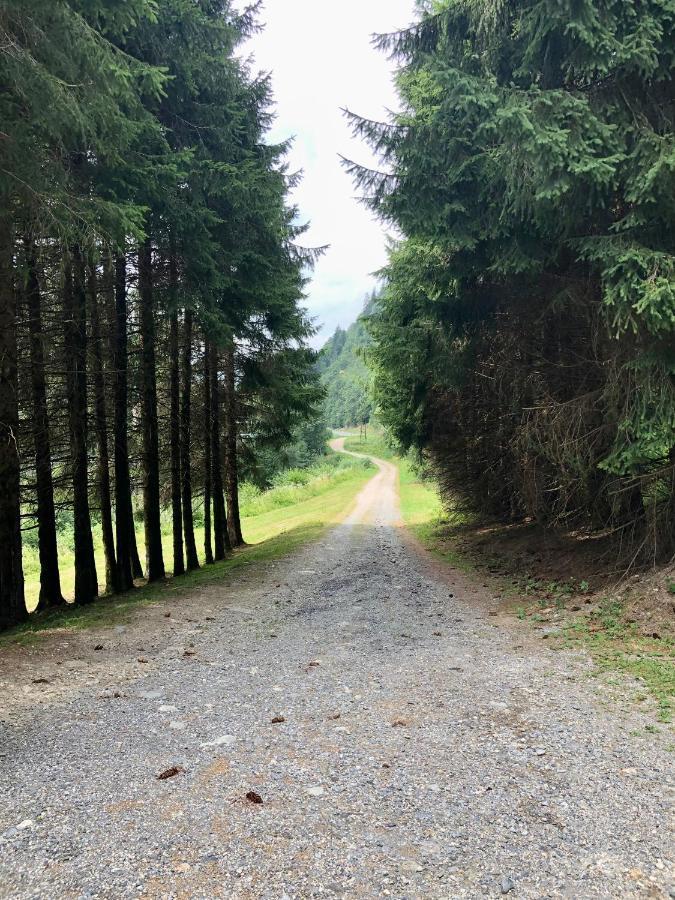 Chalet Riviere Du Bon Nant Location De 6 A 14 Personnes En Haute Savoie 생제르베레뱅 외부 사진