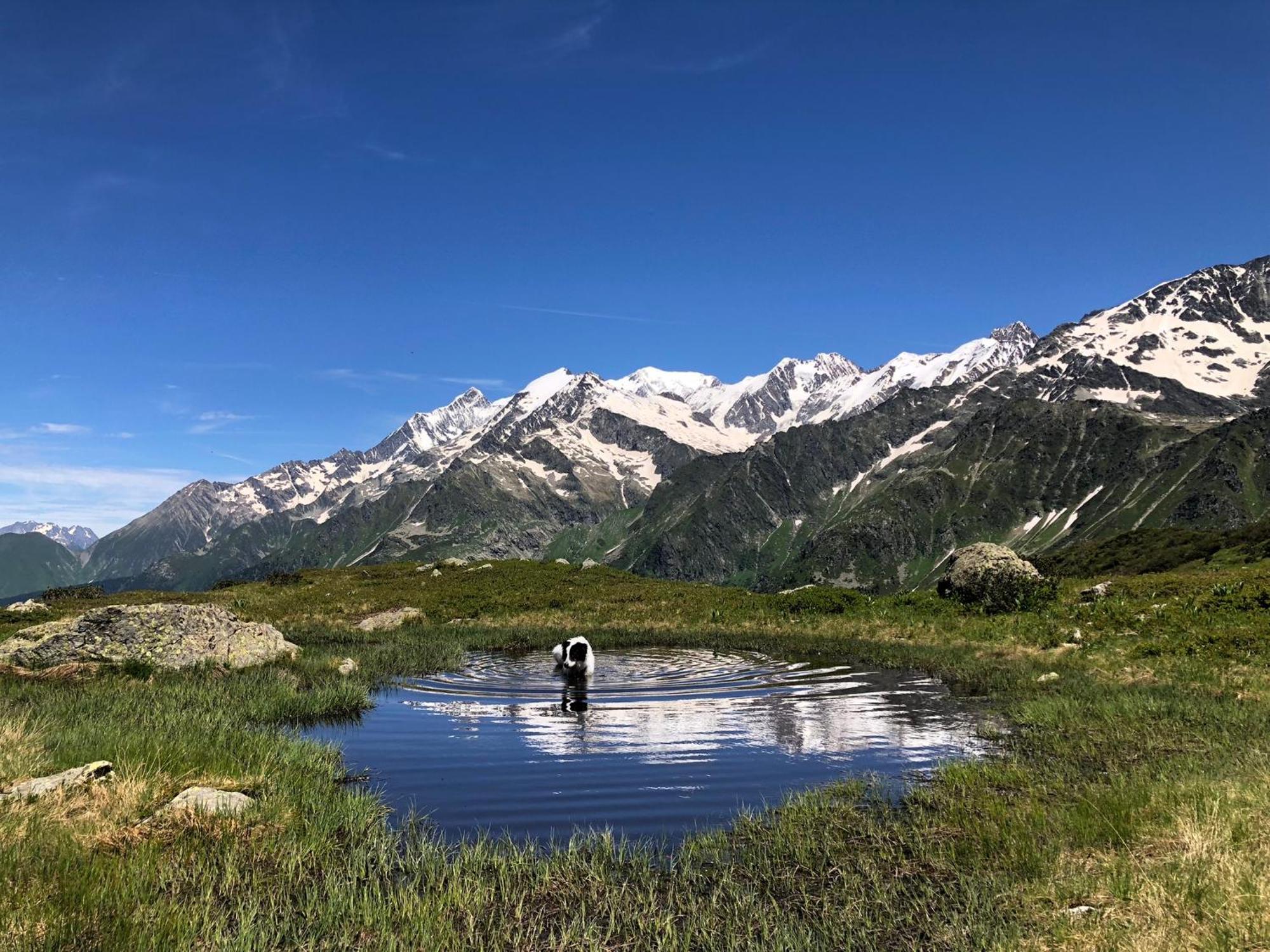 Chalet Riviere Du Bon Nant Location De 6 A 14 Personnes En Haute Savoie 생제르베레뱅 외부 사진