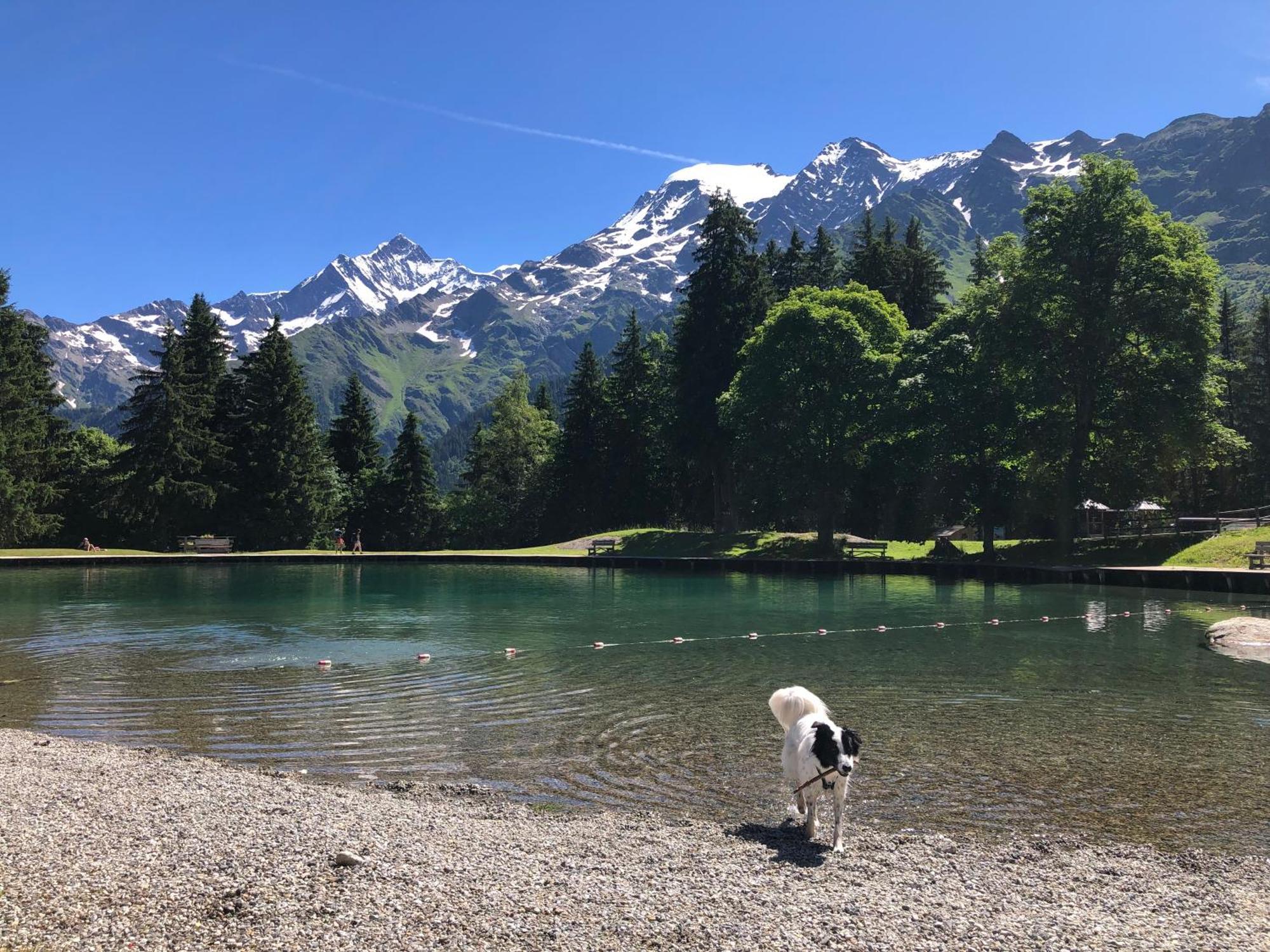 Chalet Riviere Du Bon Nant Location De 6 A 14 Personnes En Haute Savoie 생제르베레뱅 외부 사진
