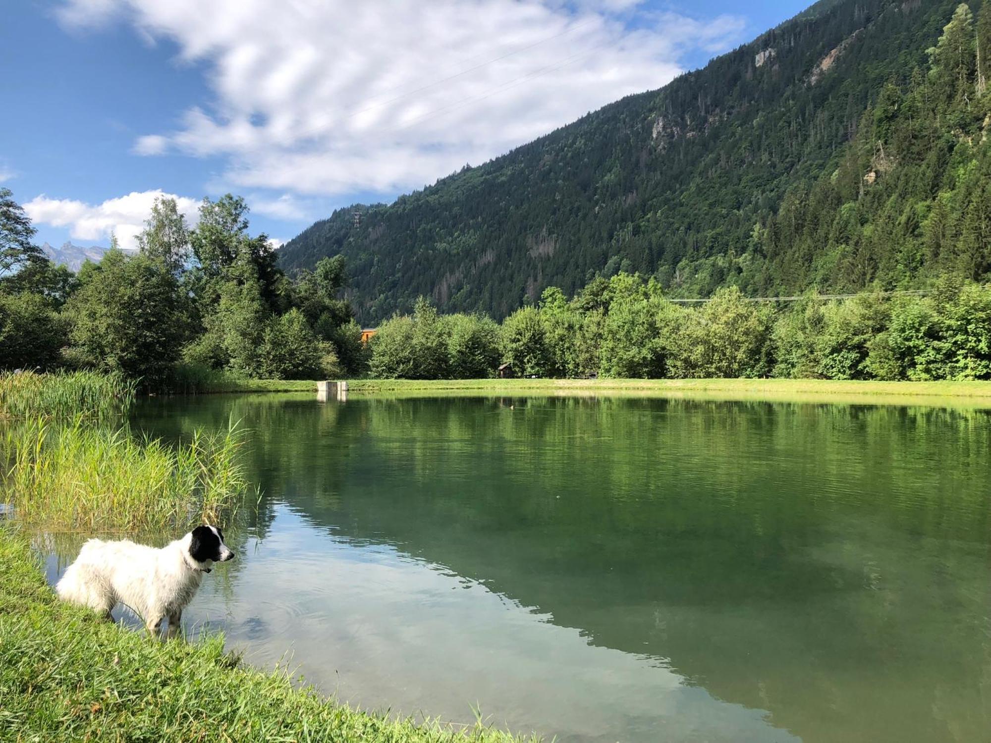 Chalet Riviere Du Bon Nant Location De 6 A 14 Personnes En Haute Savoie 생제르베레뱅 외부 사진