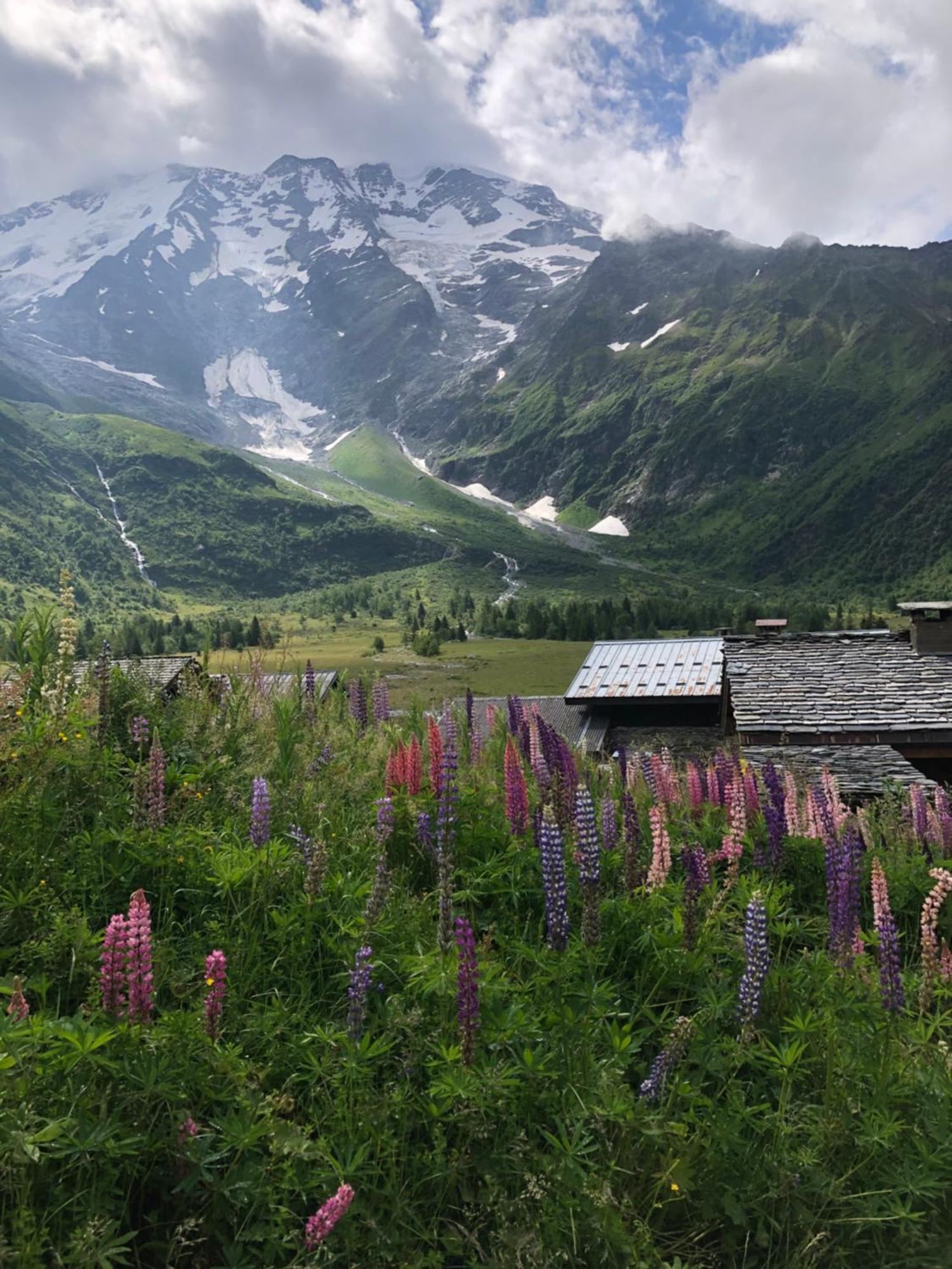 Chalet Riviere Du Bon Nant Location De 6 A 14 Personnes En Haute Savoie 생제르베레뱅 외부 사진