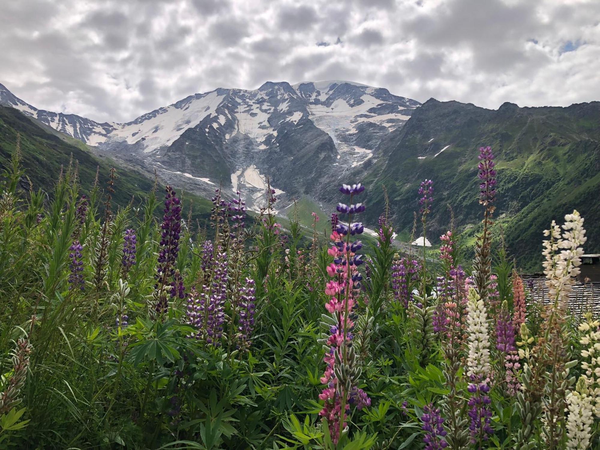 Chalet Riviere Du Bon Nant Location De 6 A 14 Personnes En Haute Savoie 생제르베레뱅 외부 사진